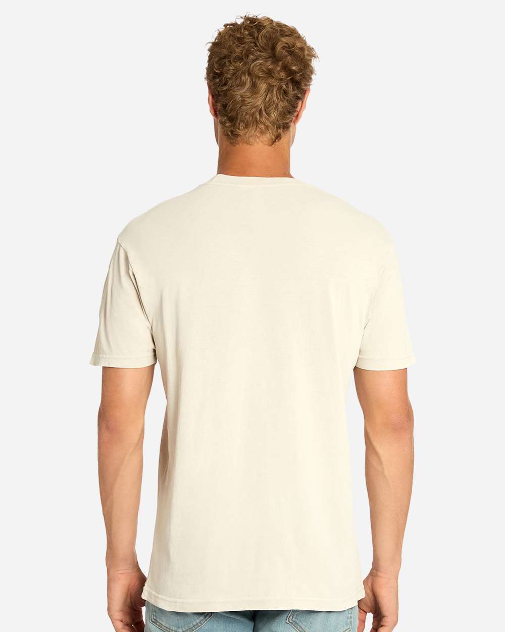 Lane Seven 501C9 - Lane Seven LST002 Unisex Vintage Tee - Vintage Arctic Back