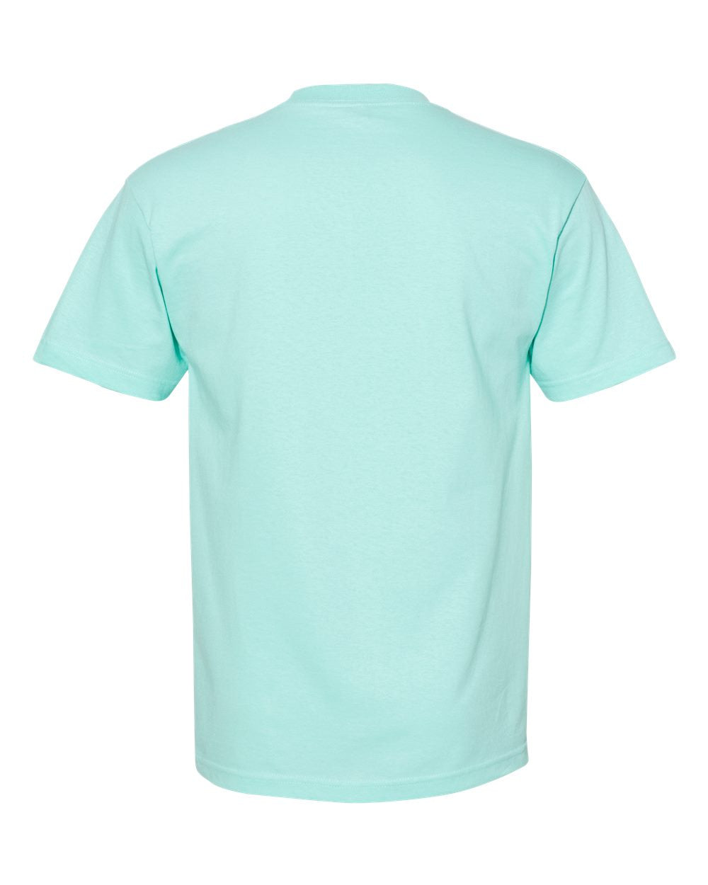 American Apparel 1301 - Unisex Heavyweight Cotton Tee - Celadon Back